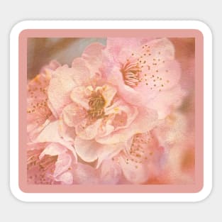 Spring Textured Pink Flowers Sticker